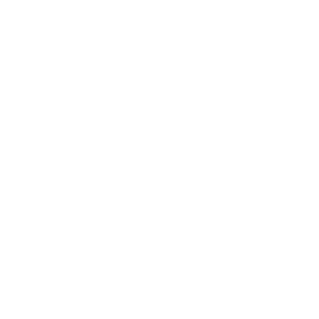 Delivery Van Icon