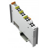 Wago, 750-517, Digital Output, 2 Channel, 1 Amp N/O 1500VA Resistive Relay, 250V AC